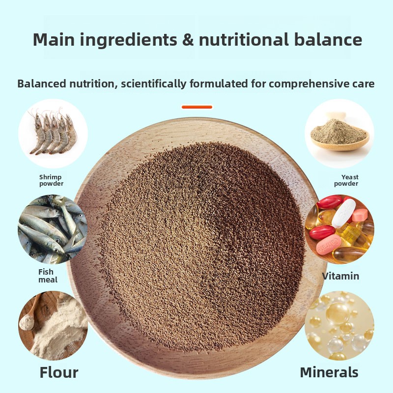 DINGZU Yüksek Proteinli Mini Ç - Baby Food With Protein incelemesi ve fiyatı