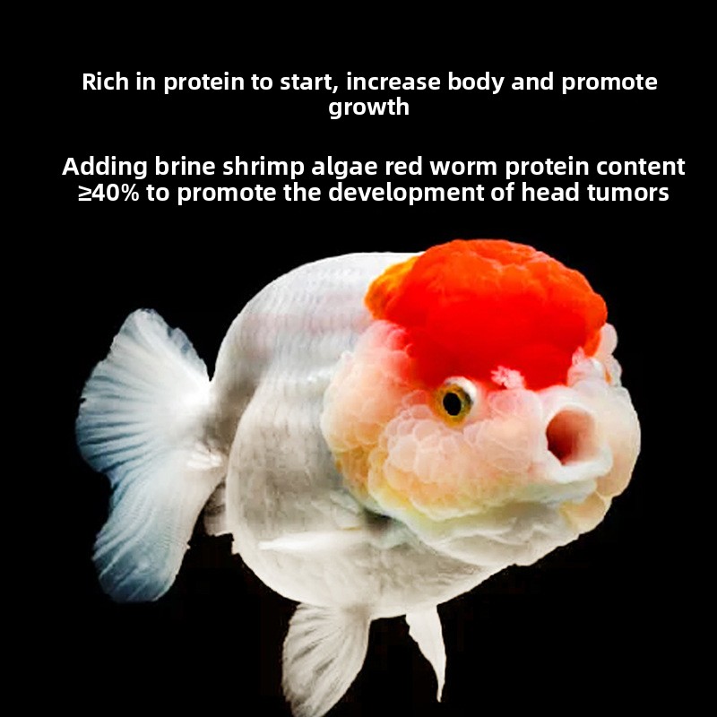 Ranchu ve Lionhead için Balık  - Baby Food With Protein incelemesi ve fiyatı