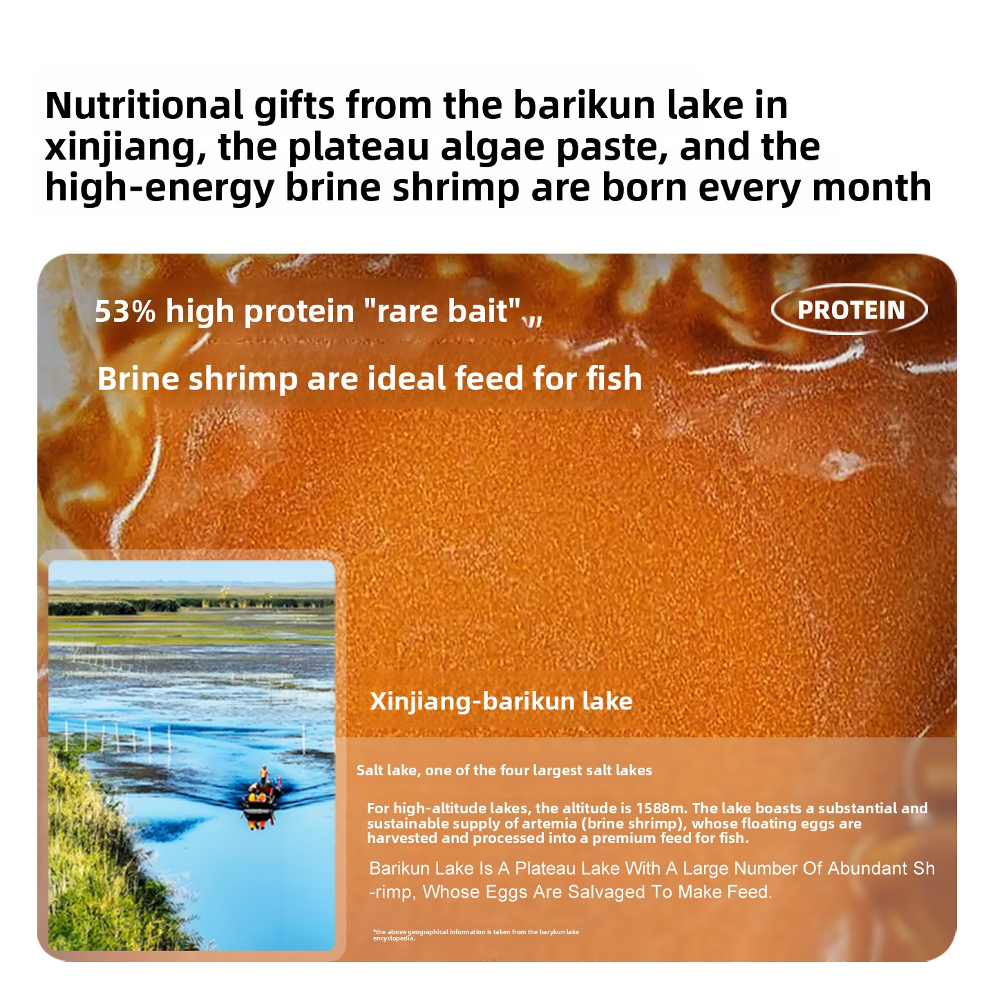 SANKii Dekapsüle Artemia, Çıkı - Baby Food With Protein incelemesi ve fiyatı