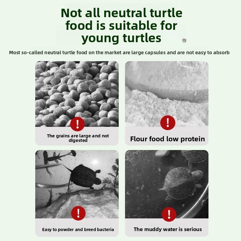 Nai chong Hatchling Turtle Foo - Baby Food With Protein incelemesi ve fiyatı